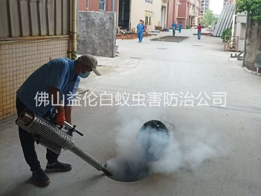 祖庙街道消灭蚊虫工程